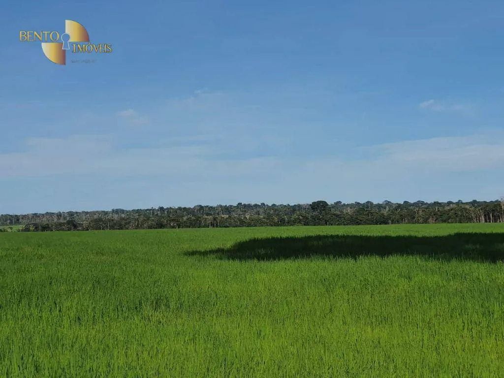 Fazenda à venda de 3.242 ha em Nova Monte Verde, MT, Brasil