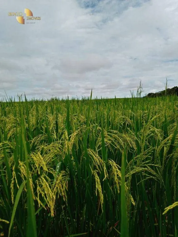 Fazenda à venda de 3.242 ha em Nova Monte Verde, MT, Brasil