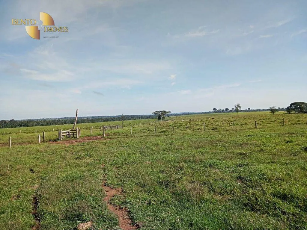 Fazenda à venda de 3.242 ha em Nova Monte Verde, MT, Brasil
