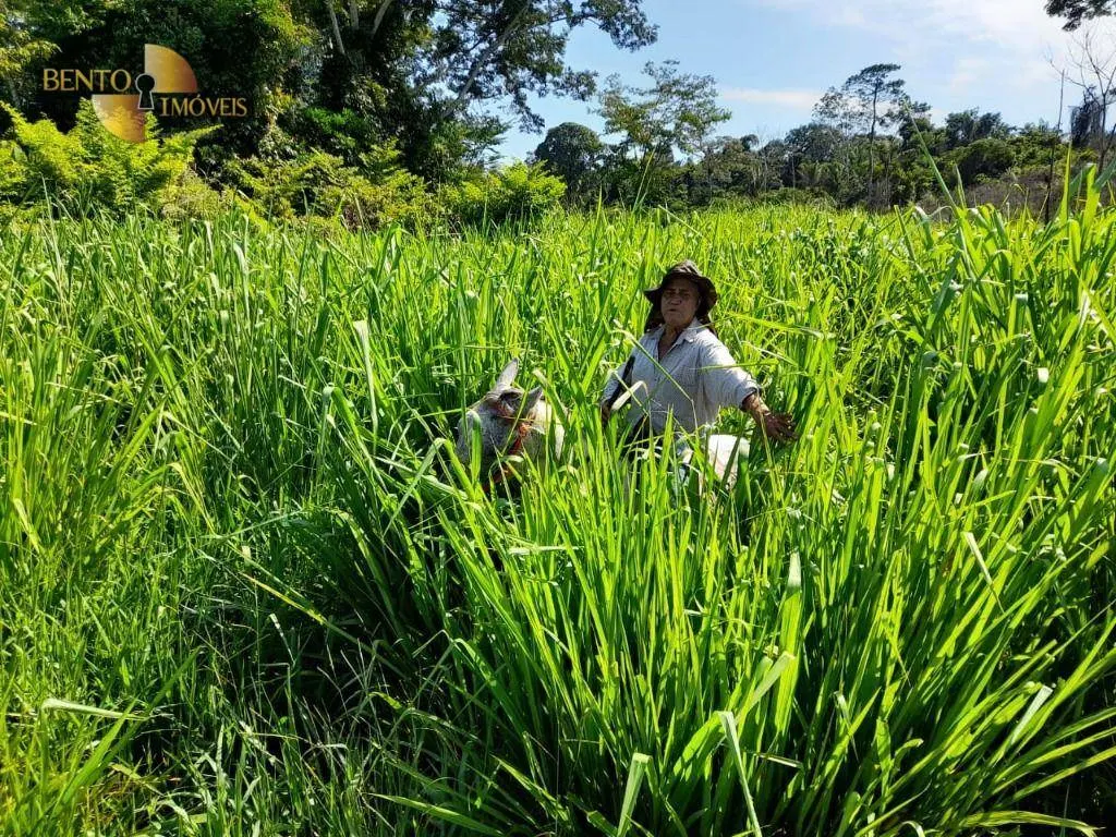 Fazenda à venda de 3.242 ha em Nova Monte Verde, MT, Brasil