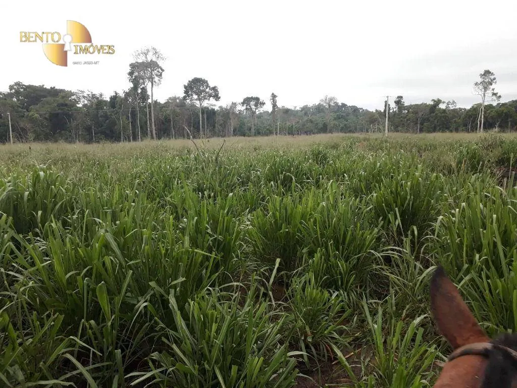 Fazenda à venda de 3.242 ha em Nova Monte Verde, MT, Brasil