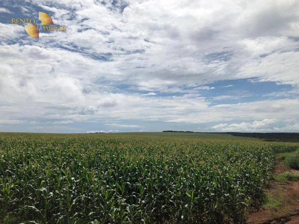 Fazenda à venda de 3.242 ha em Nova Monte Verde, MT, Brasil