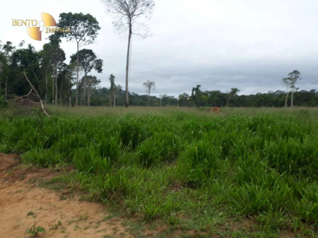 Fazenda à venda de 3.242 ha em Nova Monte Verde, MT, Brasil
