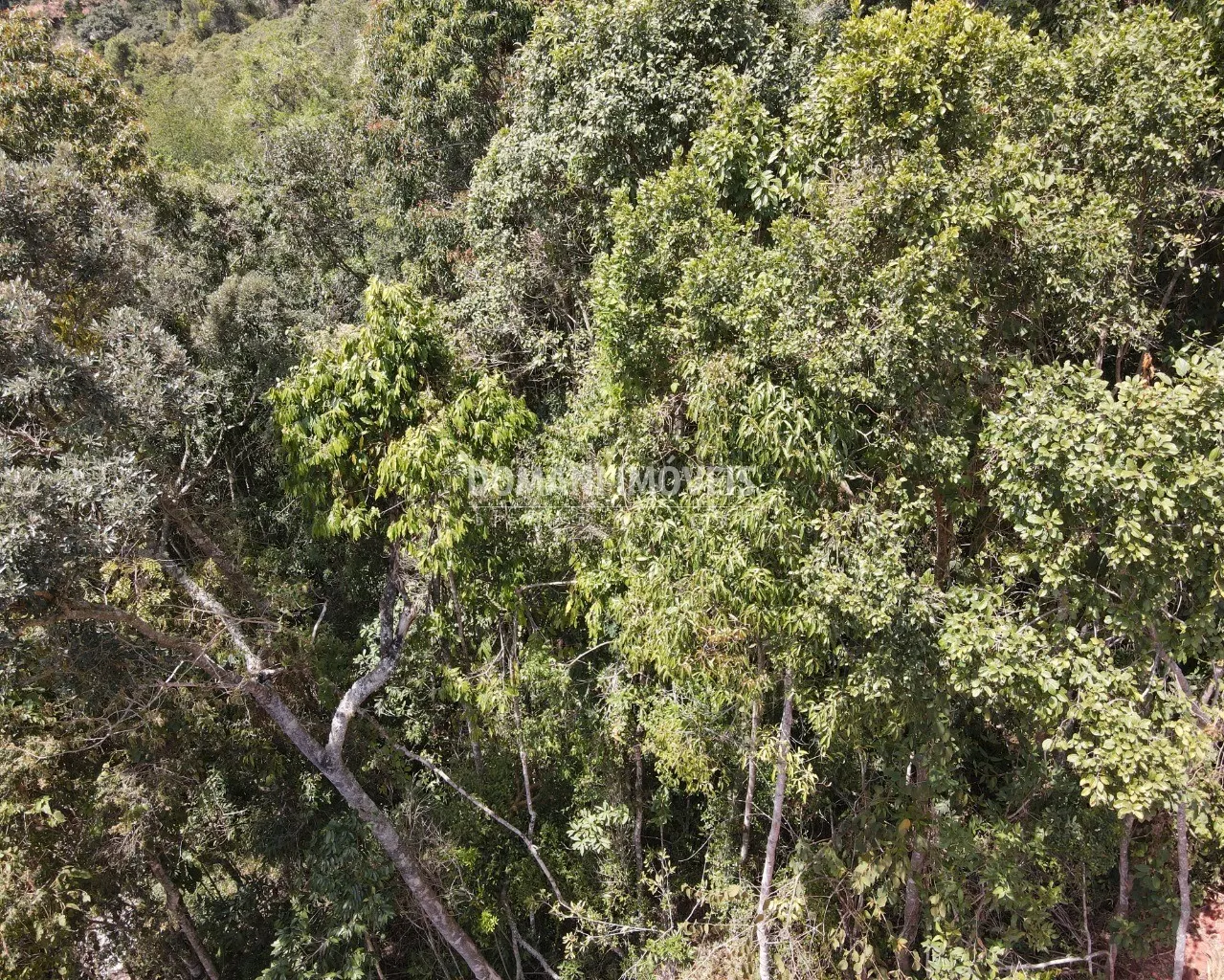 Terreno à venda de 1.170 m² em Campos do Jordão, SP, Brasil