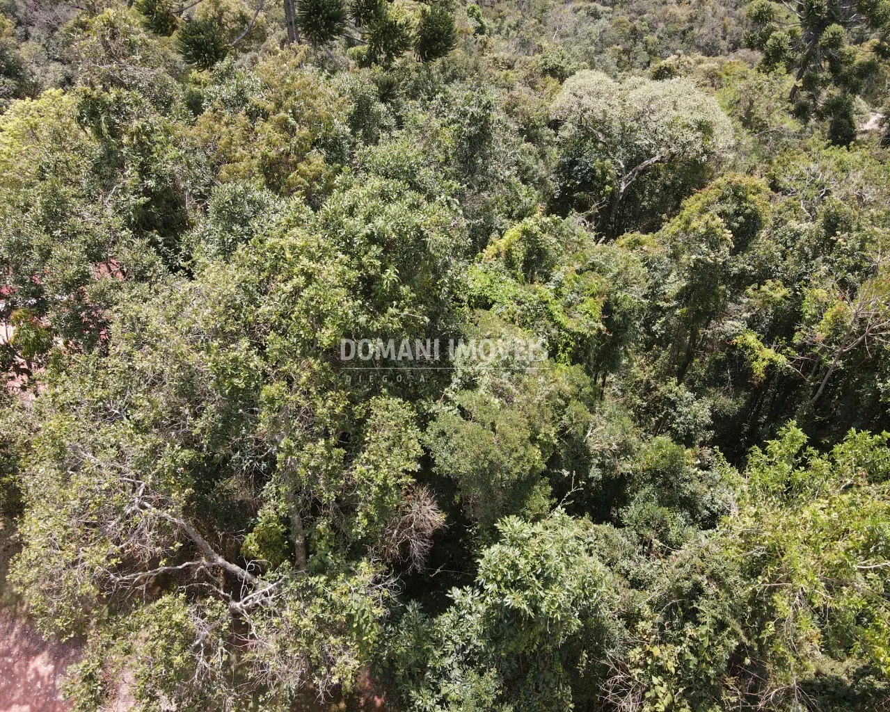 Terreno à venda de 1.170 m² em Campos do Jordão, SP, Brasil