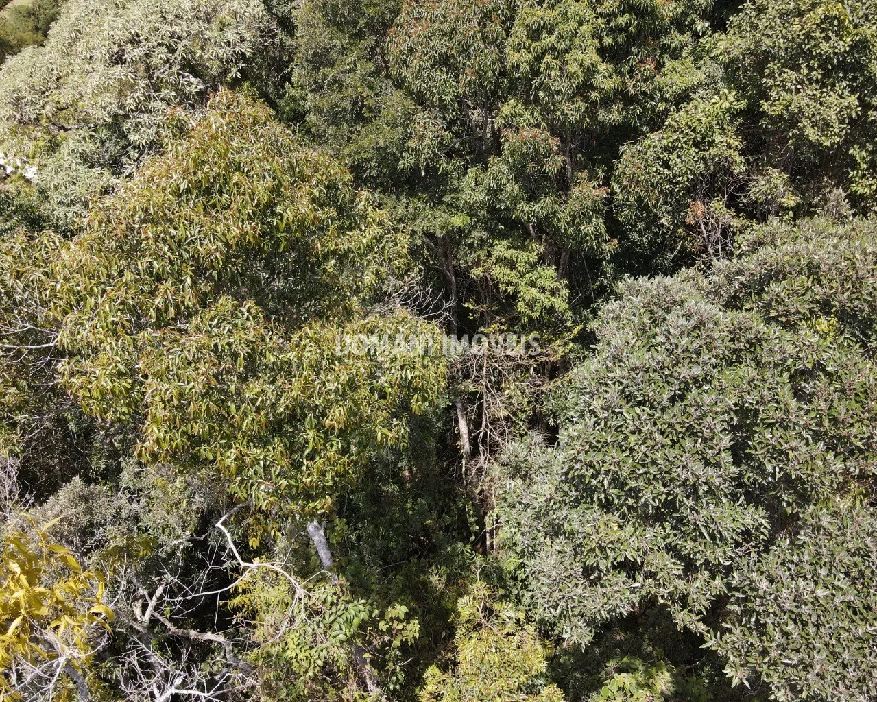 Terreno à venda de 1.170 m² em Campos do Jordão, SP, Brasil