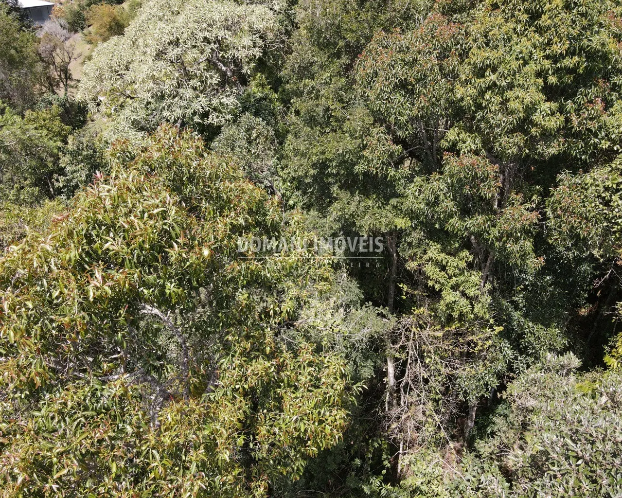 Terreno à venda de 1.170 m² em Campos do Jordão, SP, Brasil