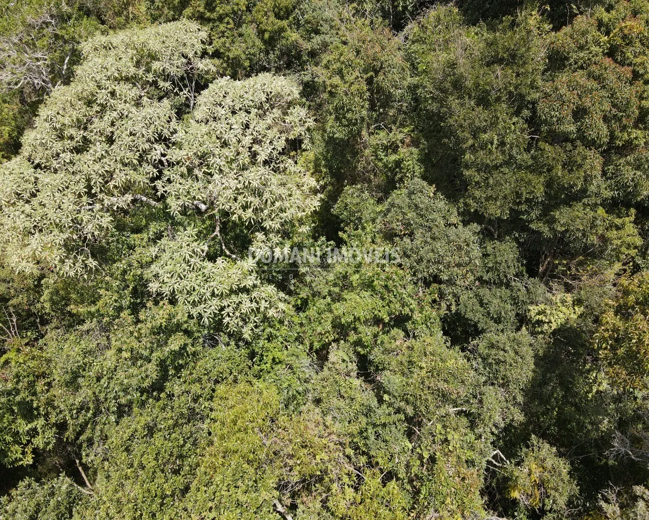 Terreno à venda de 1.170 m² em Campos do Jordão, SP, Brasil
