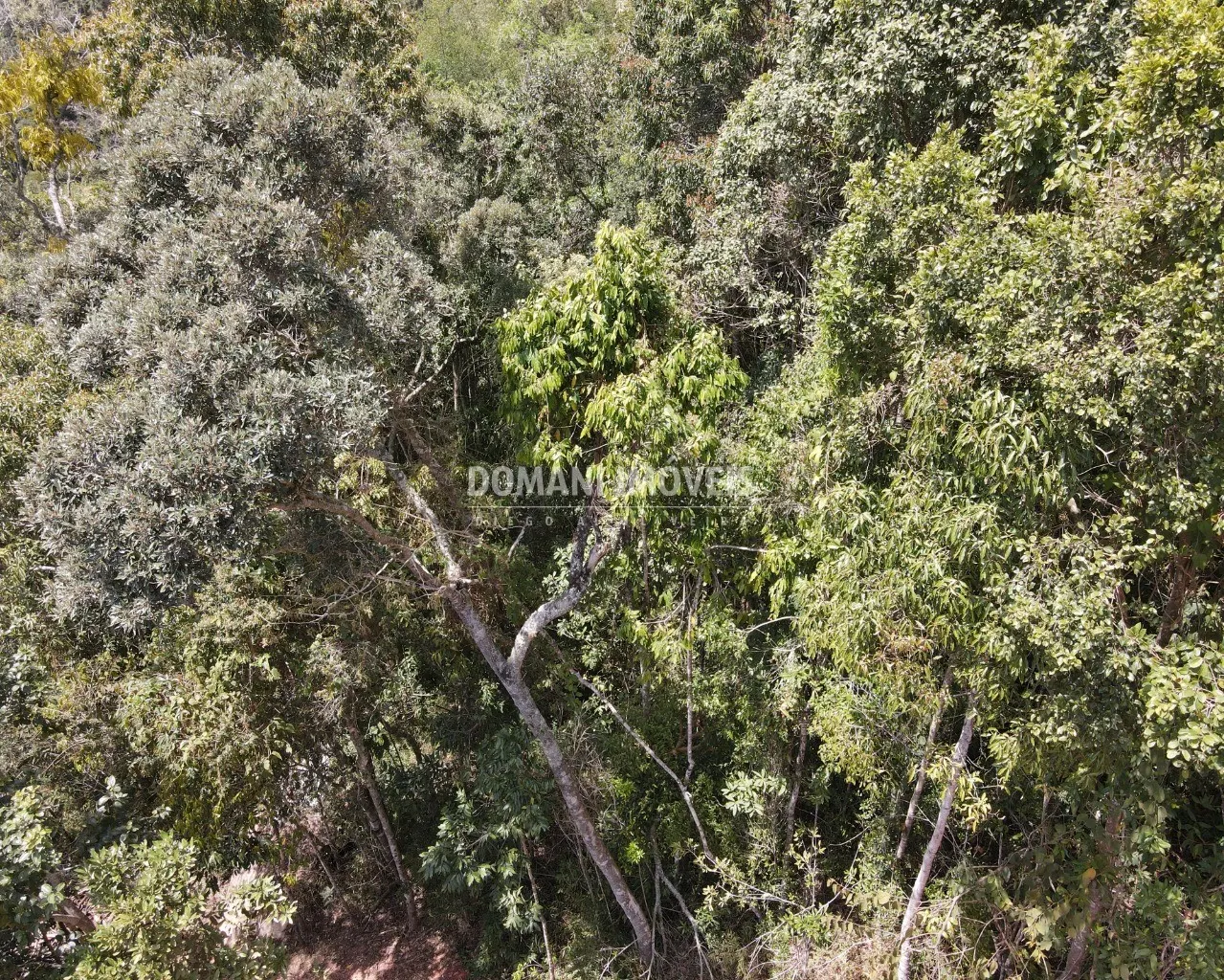 Terreno à venda de 1.170 m² em Campos do Jordão, SP, Brasil