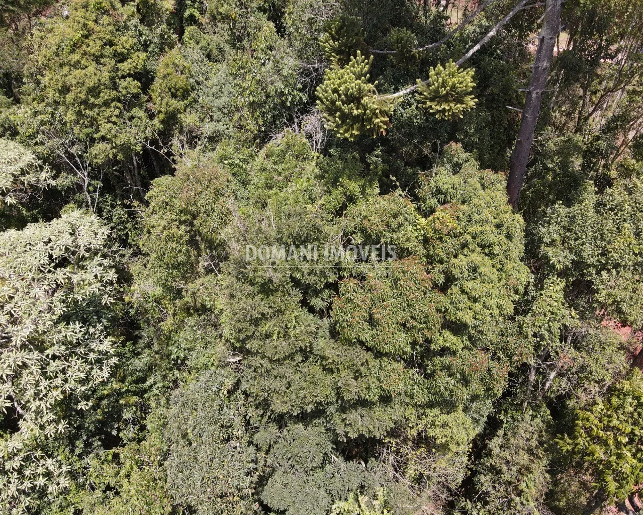 Terreno à venda de 1.170 m² em Campos do Jordão, SP, Brasil