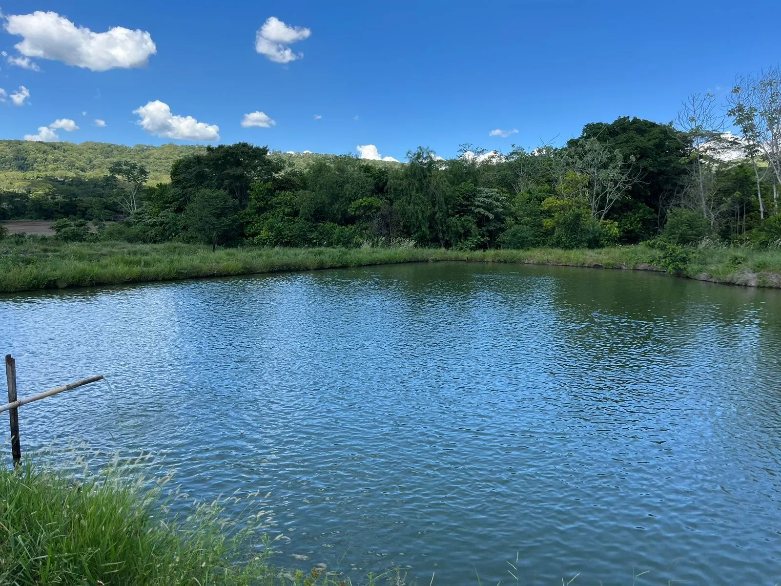 Fazenda à venda de 510 ha em Sidrolândia, MS, Brasil