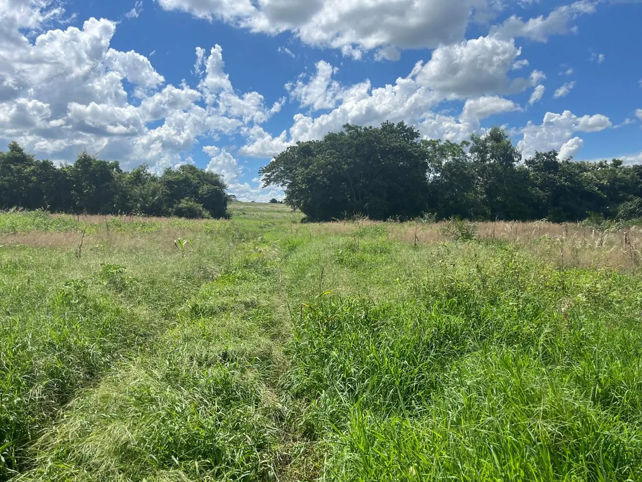 Fazenda à venda de 510 ha em Sidrolândia, MS, Brasil