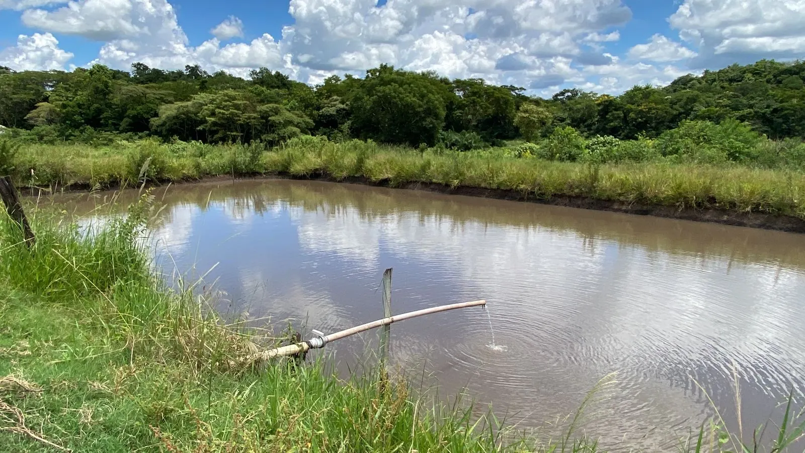 Fazenda à venda de 510 ha em Sidrolândia, MS, Brasil