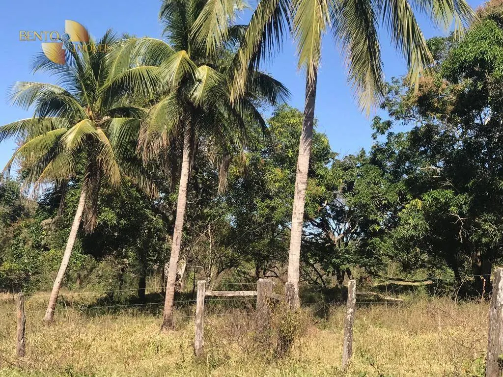 Fazenda à venda de 200 ha em Jaciara, MT, Brasil
