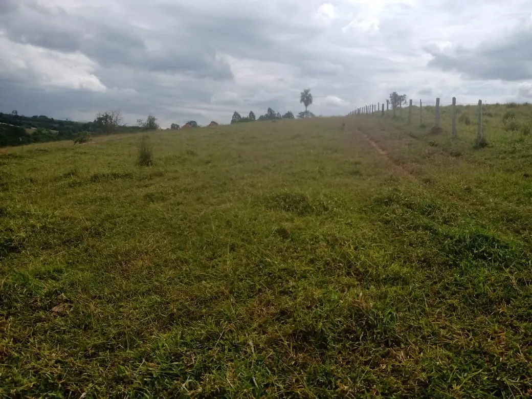 Small farm for sale of 96 acres in Itapetininga, SP, Brazil