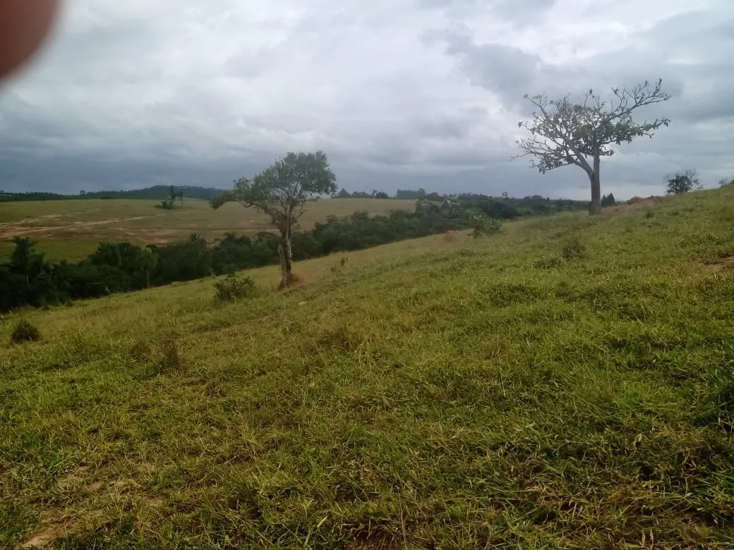 Small farm for sale of 96 acres in Itapetininga, SP, Brazil