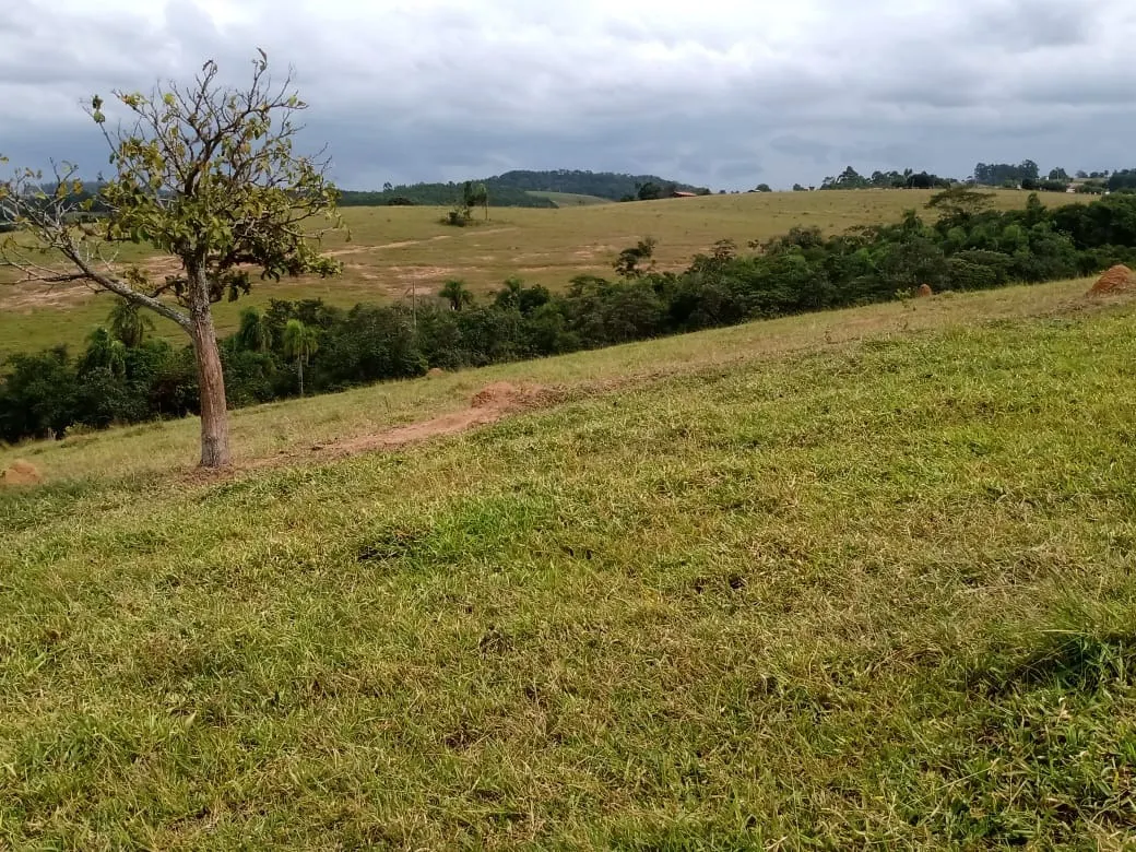 Small farm for sale of 96 acres in Itapetininga, SP, Brazil