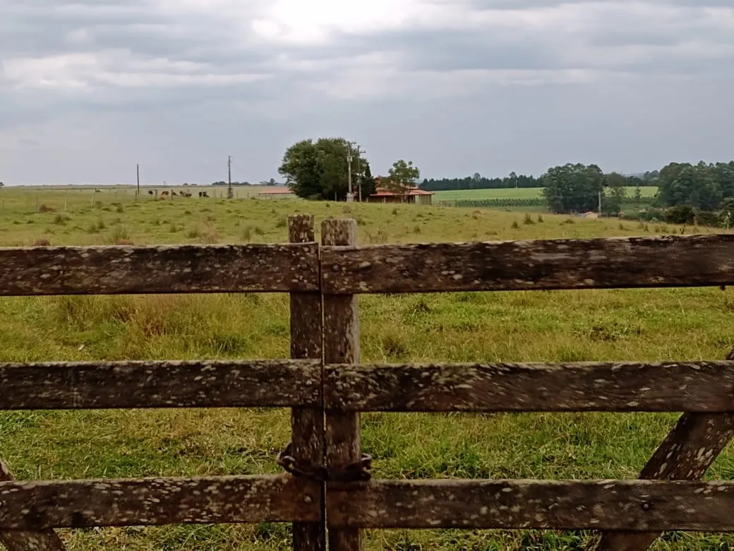 Small farm for sale of 96 acres in Itapetininga, SP, Brazil