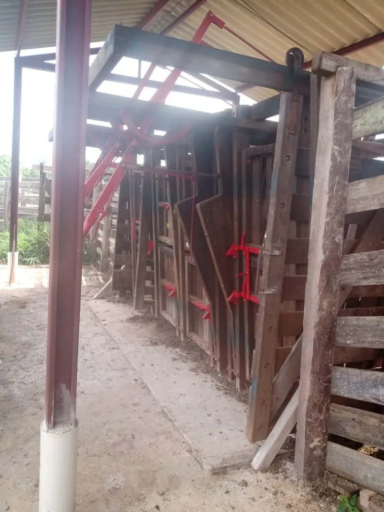 Small farm for sale of 96 acres in Itapetininga, SP, Brazil