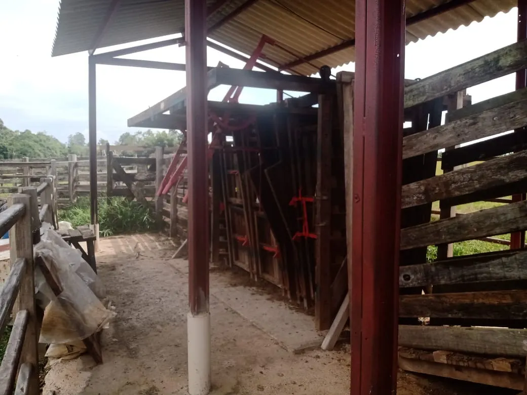 Small farm for sale of 96 acres in Itapetininga, SP, Brazil