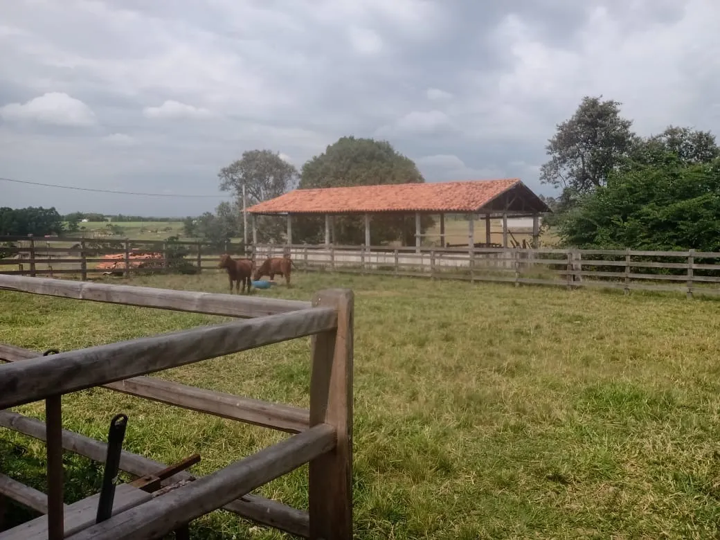 Small farm for sale of 96 acres in Itapetininga, SP, Brazil