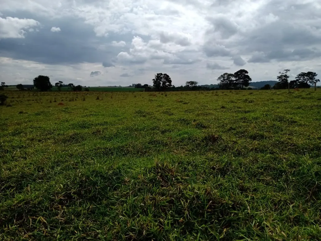 Small farm for sale of 96 acres in Itapetininga, SP, Brazil
