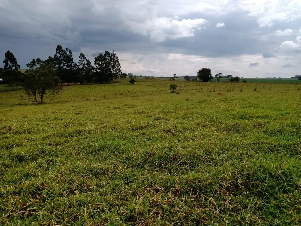 Small farm for sale of 96 acres in Itapetininga, SP, Brazil
