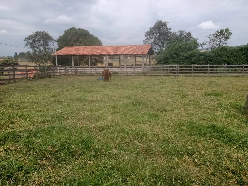 Small farm for sale of 96 acres in Itapetininga, SP, Brazil