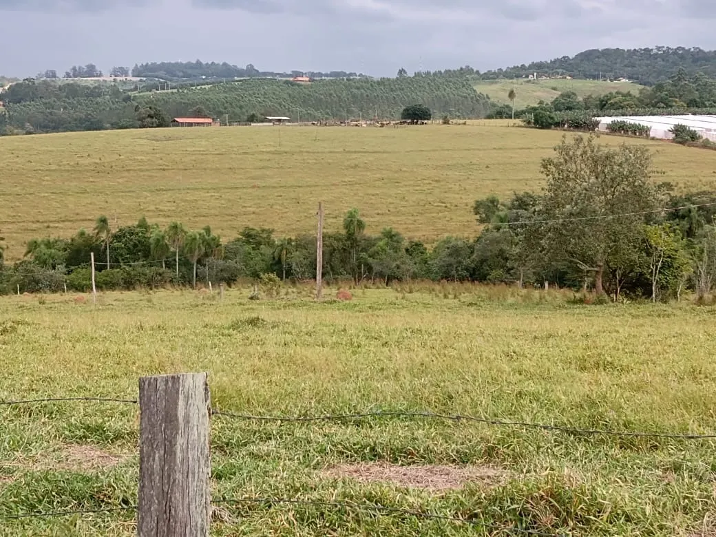Small farm for sale of 96 acres in Itapetininga, SP, Brazil