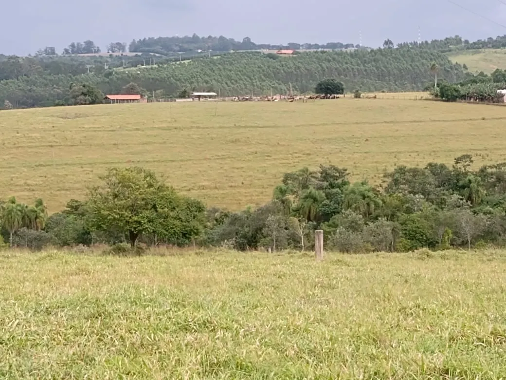 Small farm for sale of 96 acres in Itapetininga, SP, Brazil
