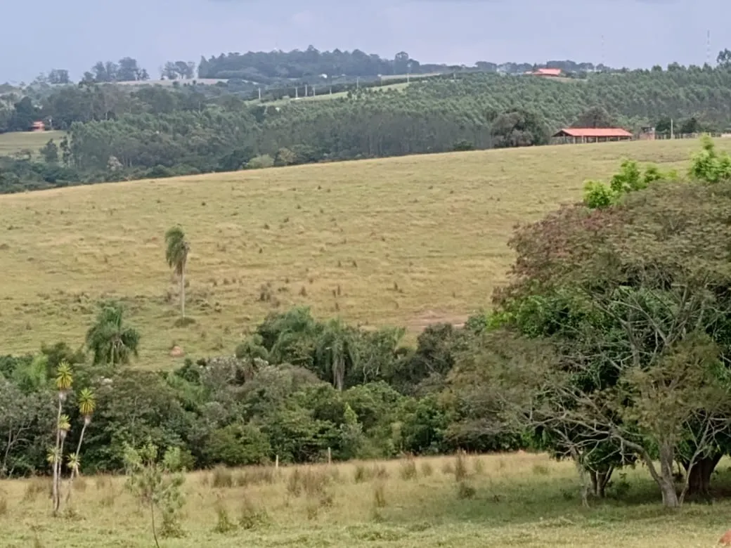Small farm for sale of 96 acres in Itapetininga, SP, Brazil