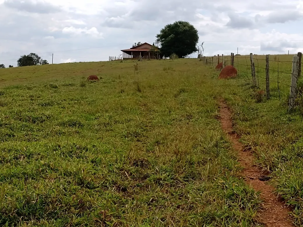Small farm for sale of 96 acres in Itapetininga, SP, Brazil