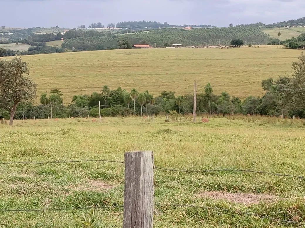 Small farm for sale of 96 acres in Itapetininga, SP, Brazil