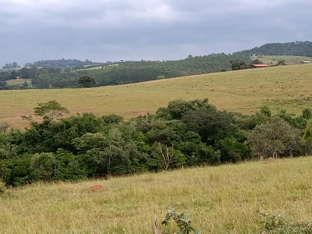 Small farm for sale of 96 acres in Itapetininga, SP, Brazil