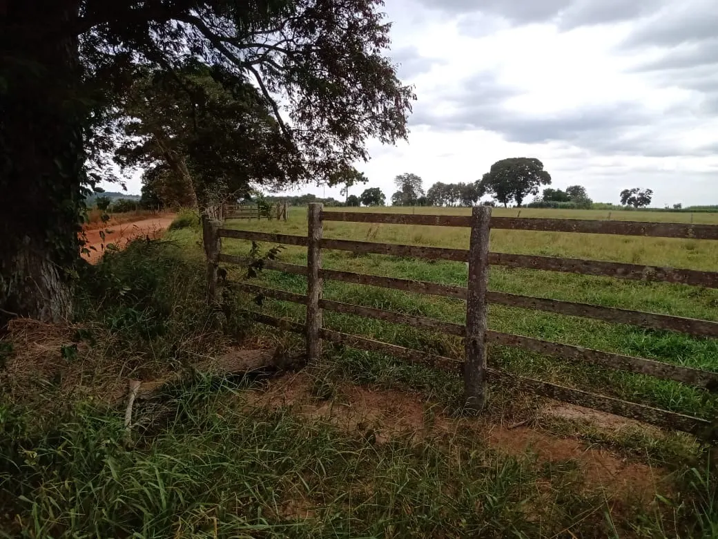 Small farm for sale of 96 acres in Itapetininga, SP, Brazil