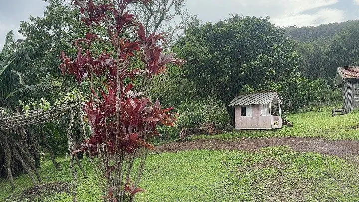 Chácara à venda de 5 ha em Santo Antônio da Patrulha, RS, Brasil