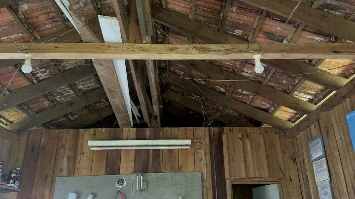 Chácara à venda de 5 ha em Santo Antônio da Patrulha, RS, Brasil