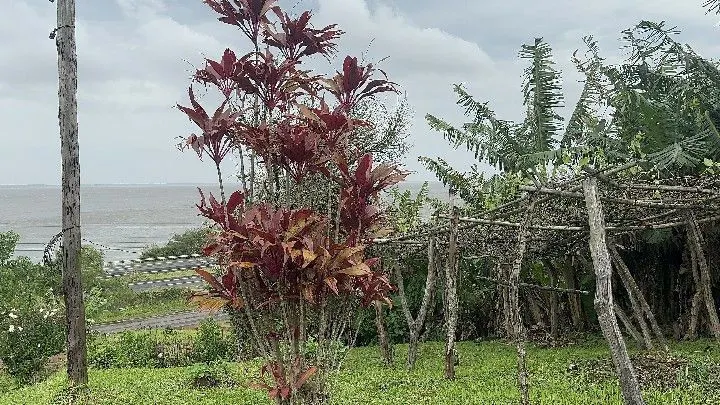 Chácara à venda de 5 ha em Santo Antônio da Patrulha, RS, Brasil