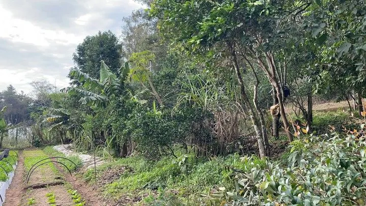 Chácara à venda de 4.800 m² em Araricá, RS, Brasil