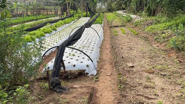 Chácara à venda de 4.800 m² em Araricá, RS, Brasil