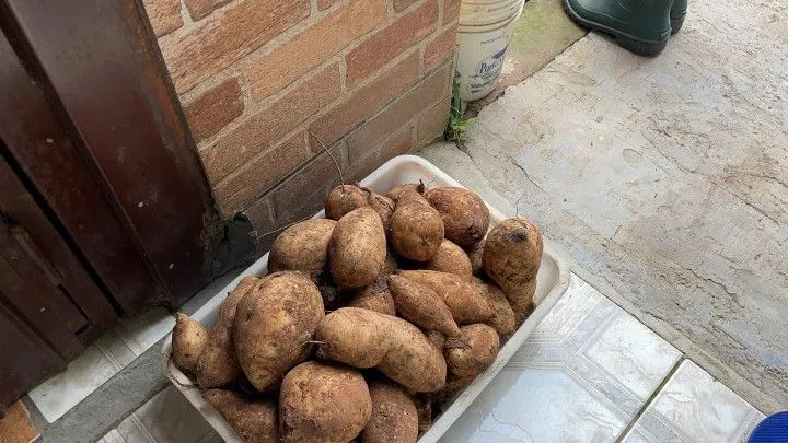 Chácara à venda de 4.800 m² em Araricá, RS, Brasil