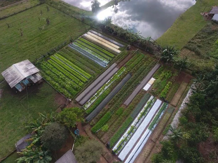 Chácara à venda de 4.800 m² em Araricá, RS, Brasil
