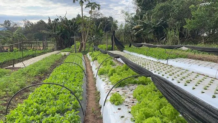 Chácara à venda de 4.800 m² em Araricá, RS, Brasil