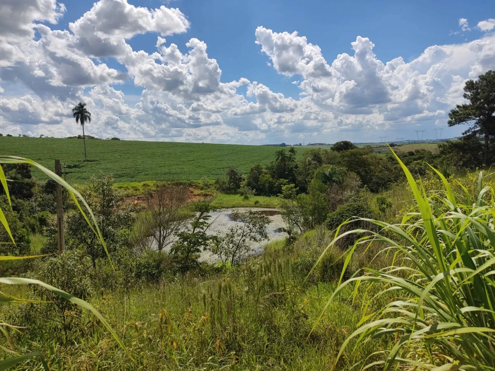 Sítio à venda e para Arrendar de 73 ha em São Miguel Arcanjo, SP, Brasil