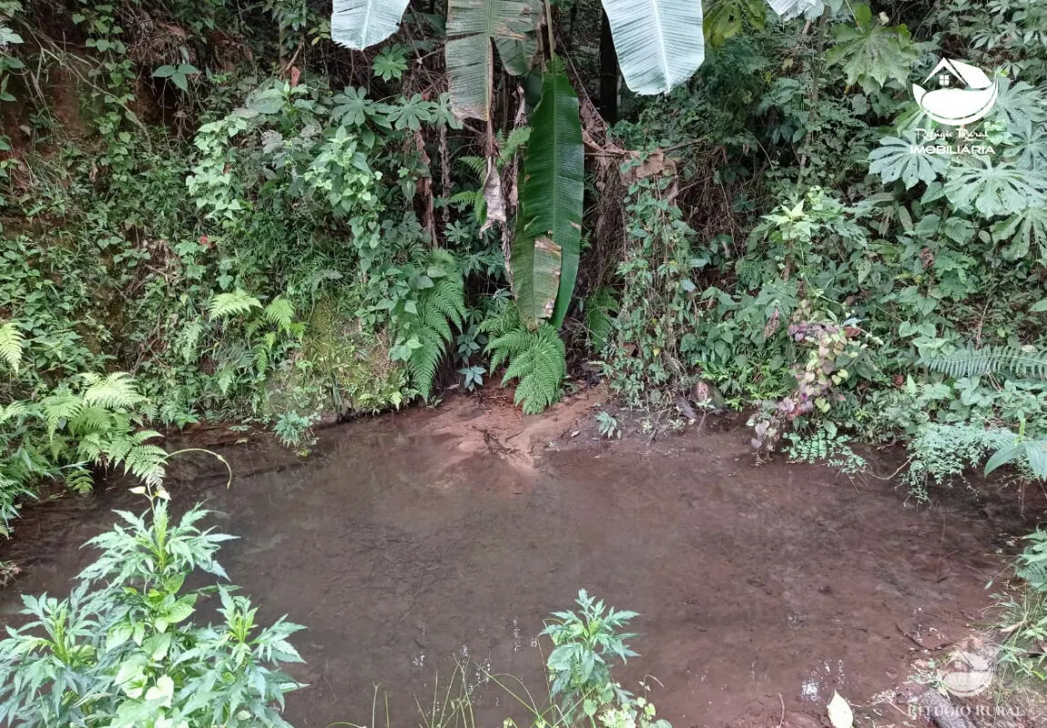 Fazenda à venda de 106 ha em São José dos Campos, SP, Brasil