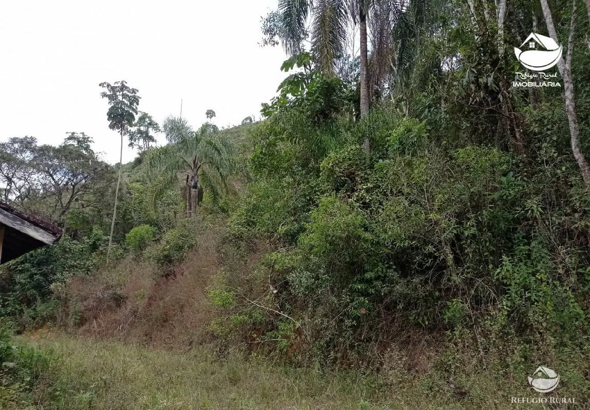 Fazenda à venda de 106 ha em São José dos Campos, SP, Brasil