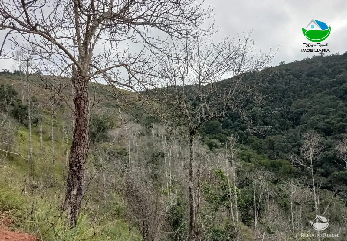 Fazenda à venda de 106 ha em São José dos Campos, SP, Brasil
