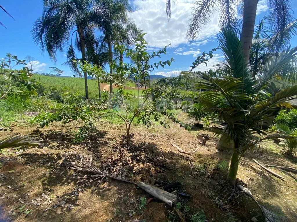 Fazenda à venda de 2 ha em Canelinha, SC, Brasil