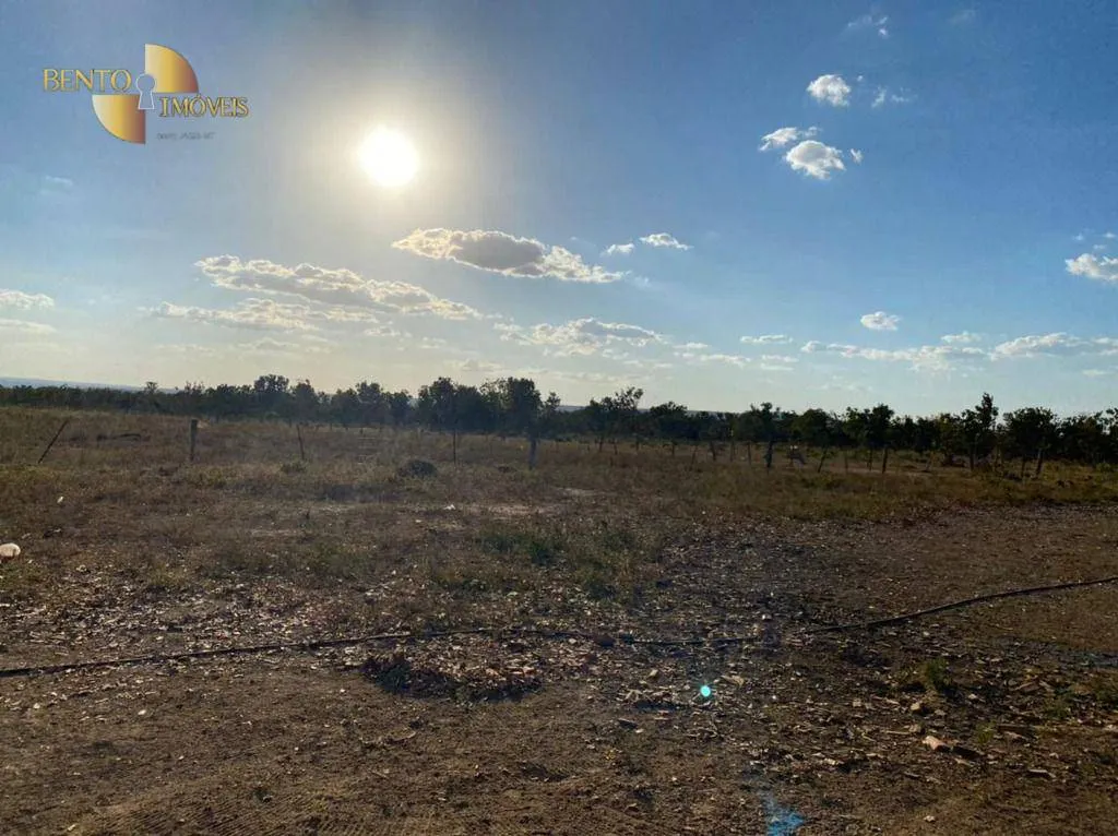 Farm for sale of 4,942 acres in Paranatinga, MT, Brazil