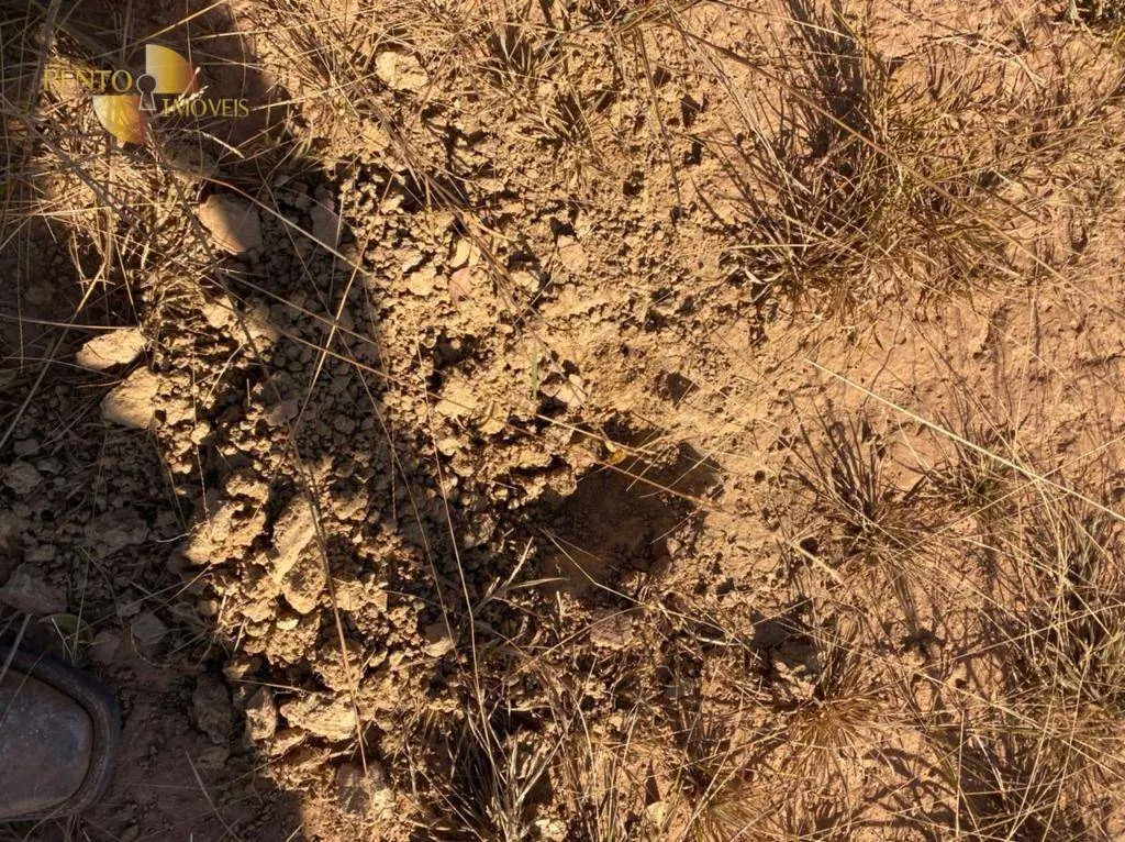 Farm for sale of 4,942 acres in Paranatinga, MT, Brazil